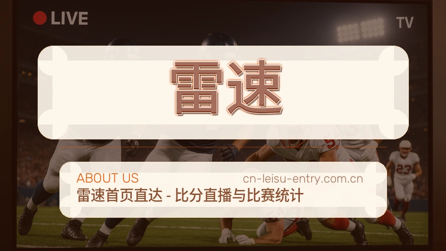 关于 雷速
